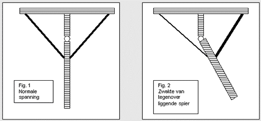 figuur 1 toont normale spanning in een spier met de 2 aanhechtingen aan het frame, figuur 2 toont een scheefstand omdat de ene spier te los is en de tegen-overliggende spier te strak staat. Kinesiologie praktijk Boxtel